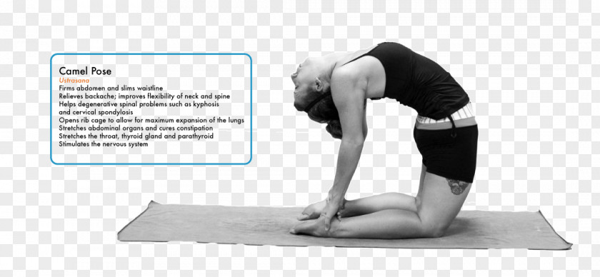 Yoga Hip Shoulder PNG