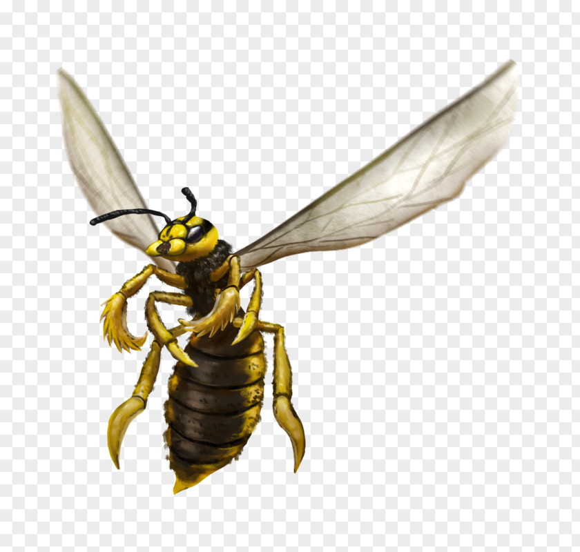Bee Honey Wasp Amihan Dungeons & Dragons PNG