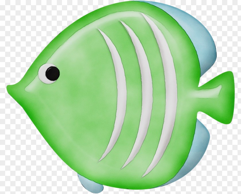 Fish Green Plastic Science Biology PNG