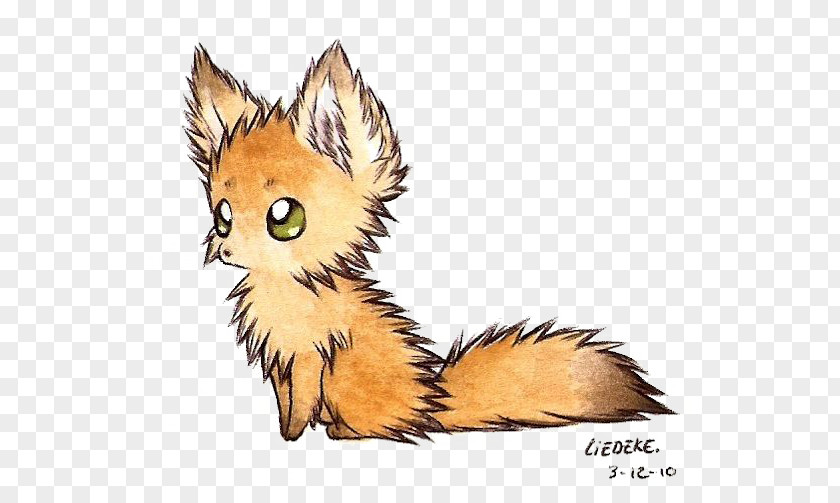 Fox Fennec Drawception Arctic Gray Wolf Drawing PNG