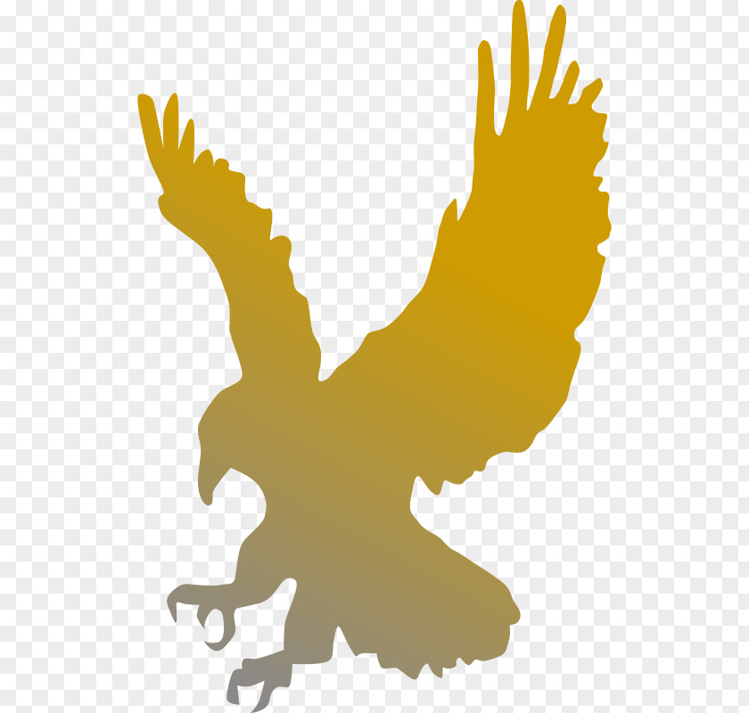 Gradient Golden Eagles Bald Eagle Clip Art PNG