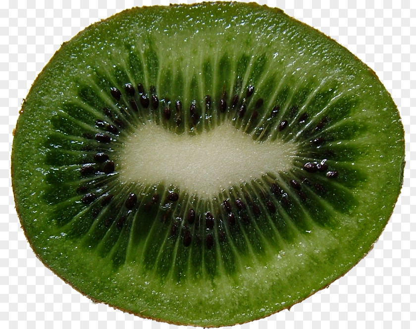 Kiwifruit Clip Art Food PNG