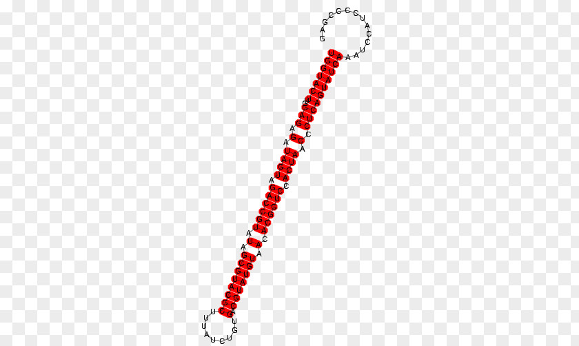Line Bead Necklace Bracelet Point PNG