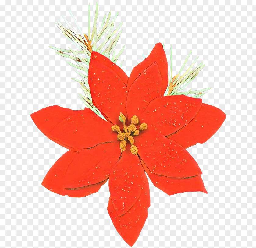 Wildflower Christmas Ornament PNG