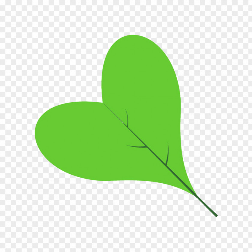 Acer Palmatum Thunb Leaf Green Clip Art PNG