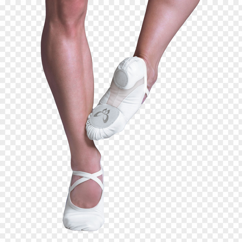 Ballet Shoe Dancer PNG