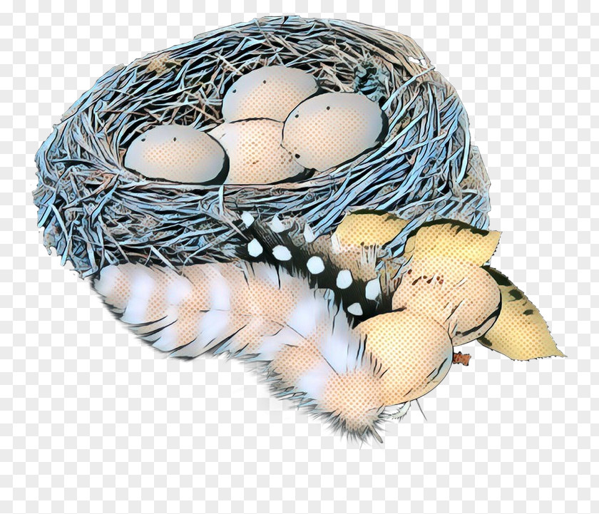 Bird Nest Vintage PNG
