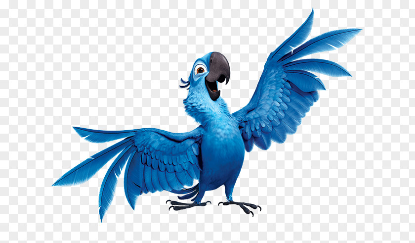 Blueandyellow Macaw Blu Jewel Nigel Rio De Janeiro Clip Art PNG