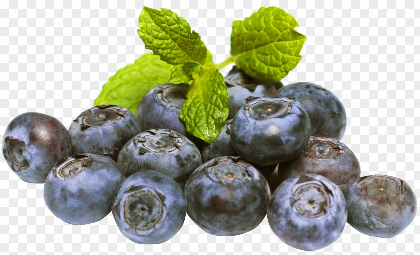 Blueberries Blueberry Fruit PNG