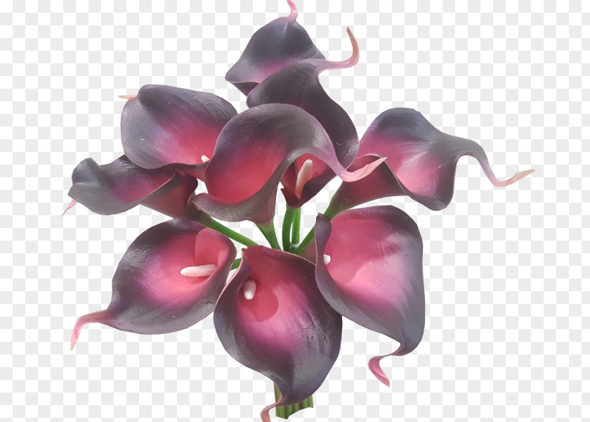 Callalily Arum-lily Flower Bouquet Artificial Plant PNG