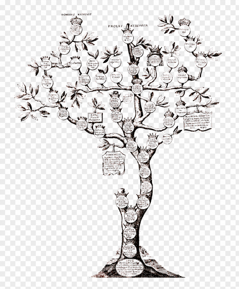 Family Tree Genealogy Surname Kinship PNG
