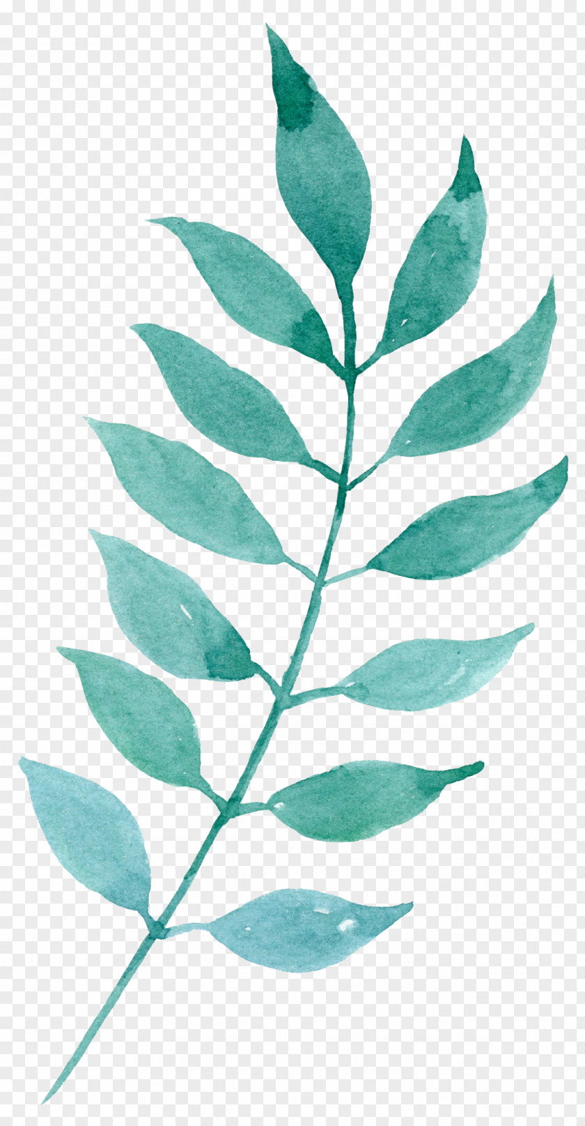 Hand-painted Mint Green Leaves Watercolor Painting Download Leaf PNG