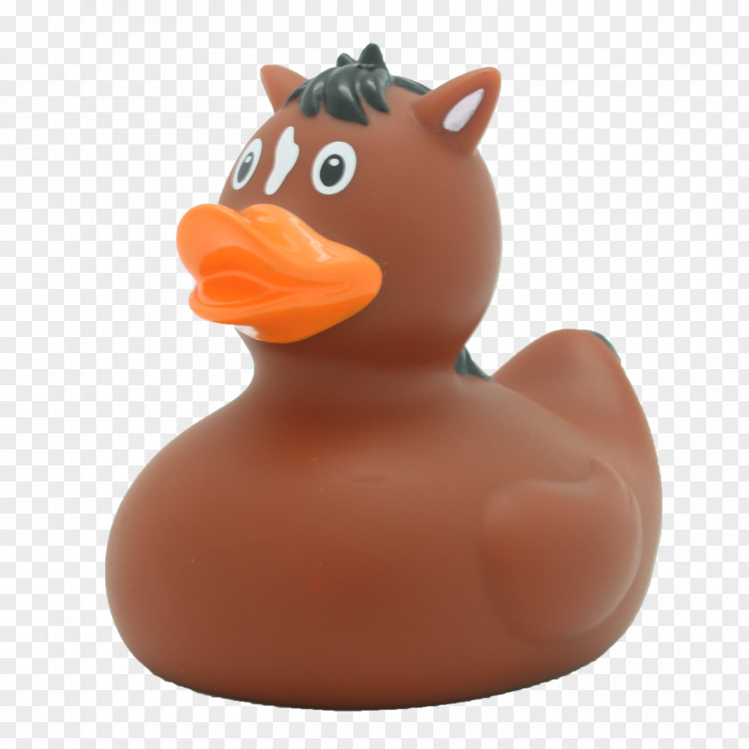 Rubber Duck Natural Toy Bathtub PNG