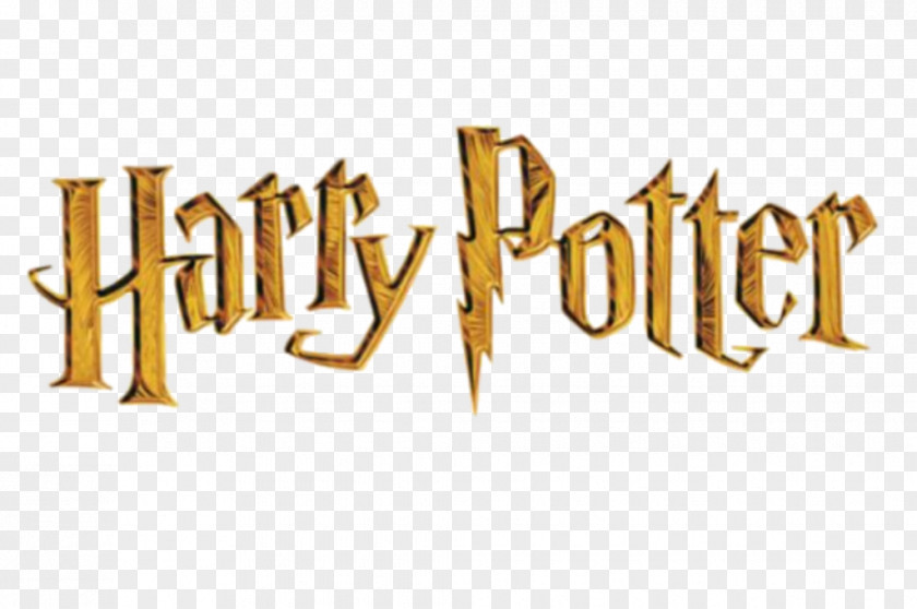 The Making Of Harry Potter FandomHARY POTTER And Philosopher's Stone Wizarding World Warner Bros. Studio Tour London PNG