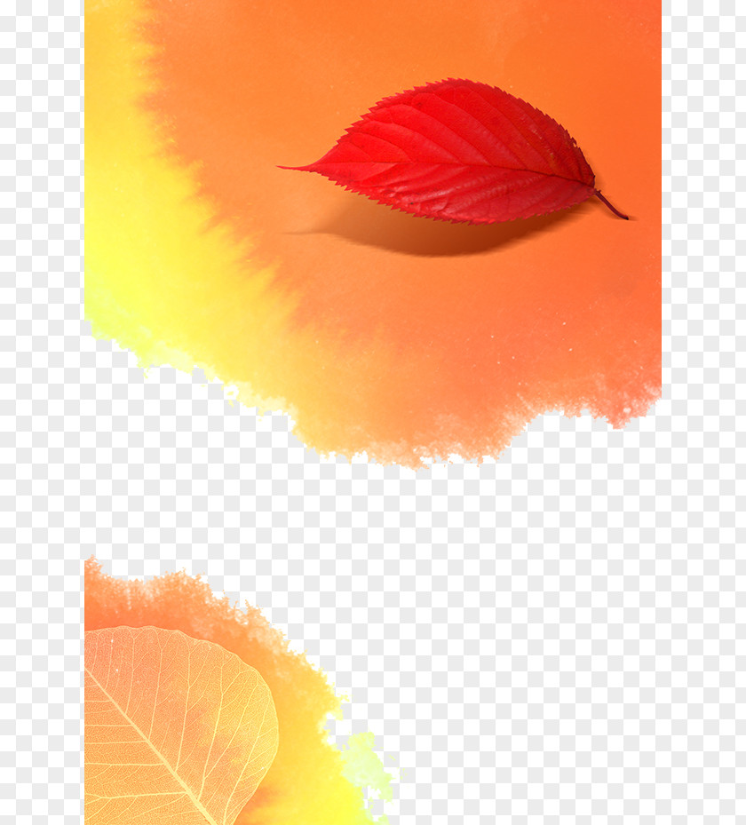 Autumn And Winter Poster Design Leaf Wallpaper PNG