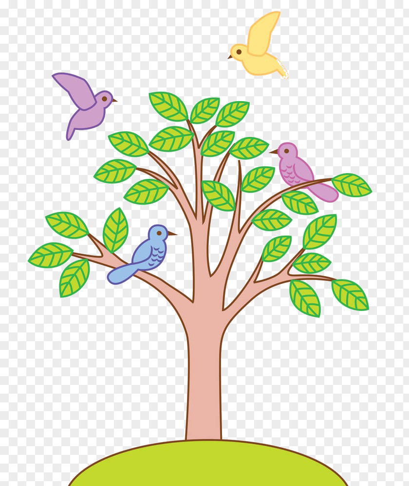 Cartoon Tree Material Bird Photography Illustration PNG