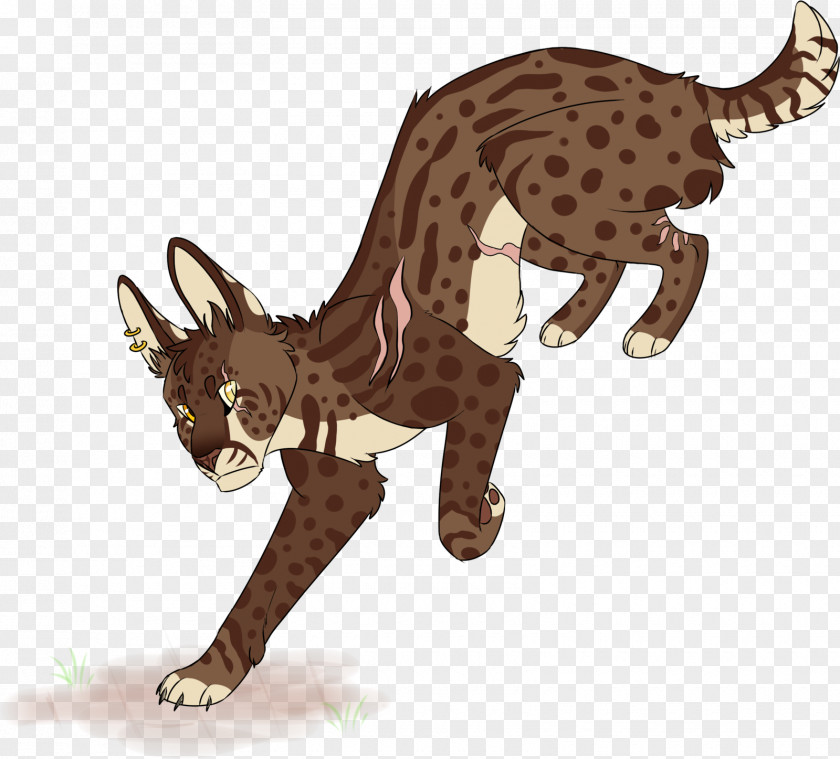 Cat Horse Giraffe Animal Pet PNG