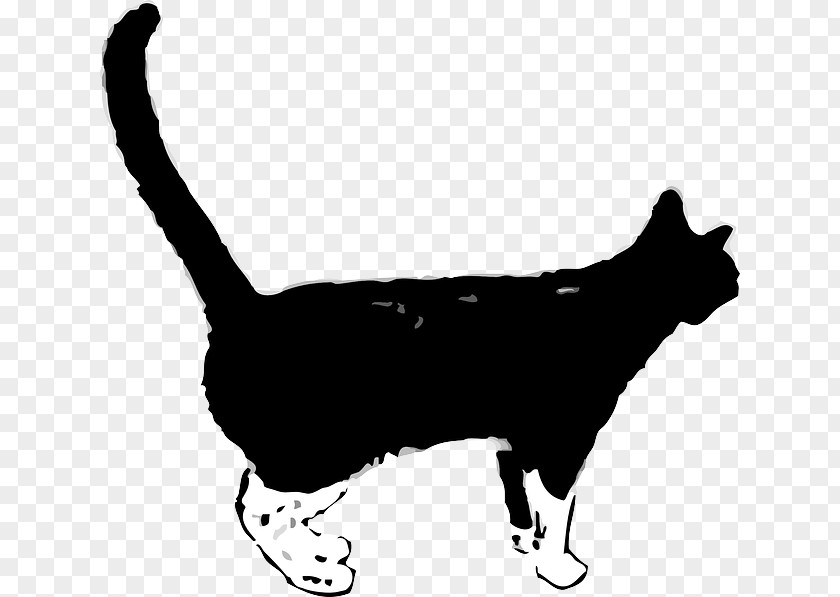 Cat Wildcat Kitten Clip Art Vector Graphics PNG