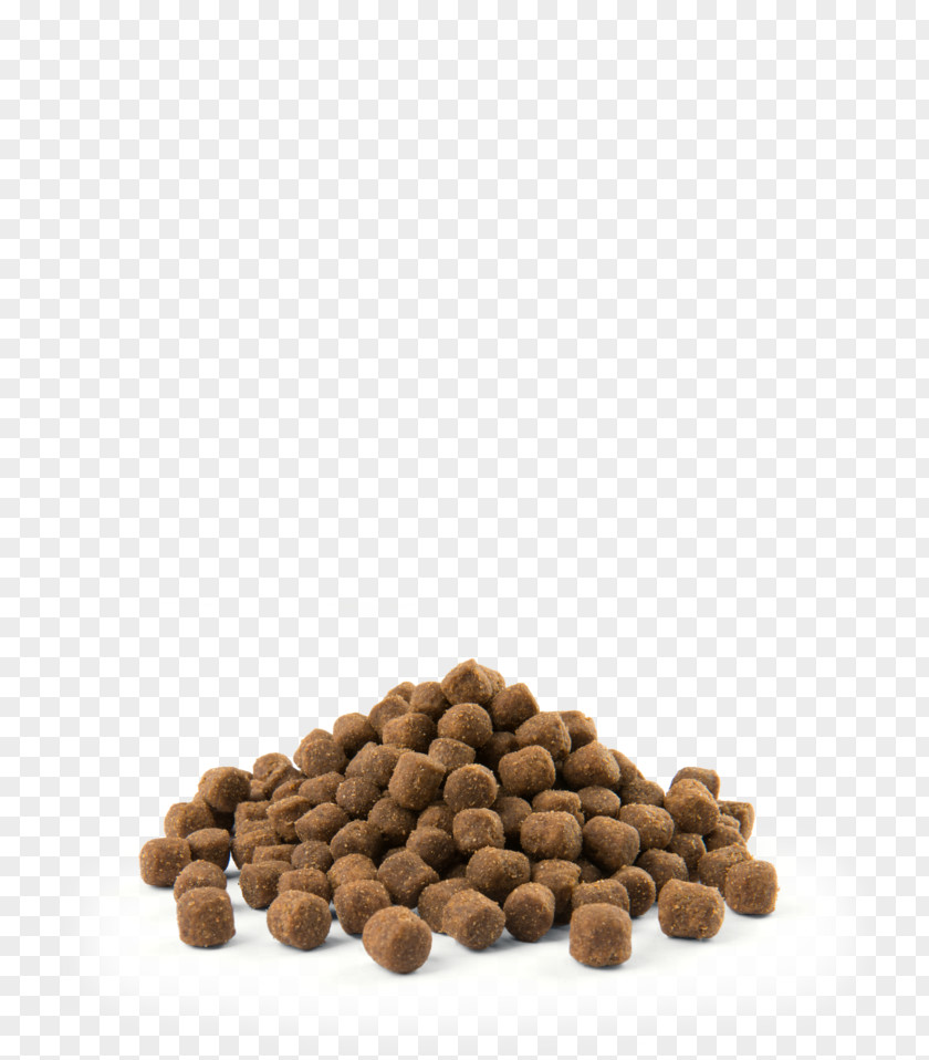 Dog MINI Cooper Food Metabolism PNG