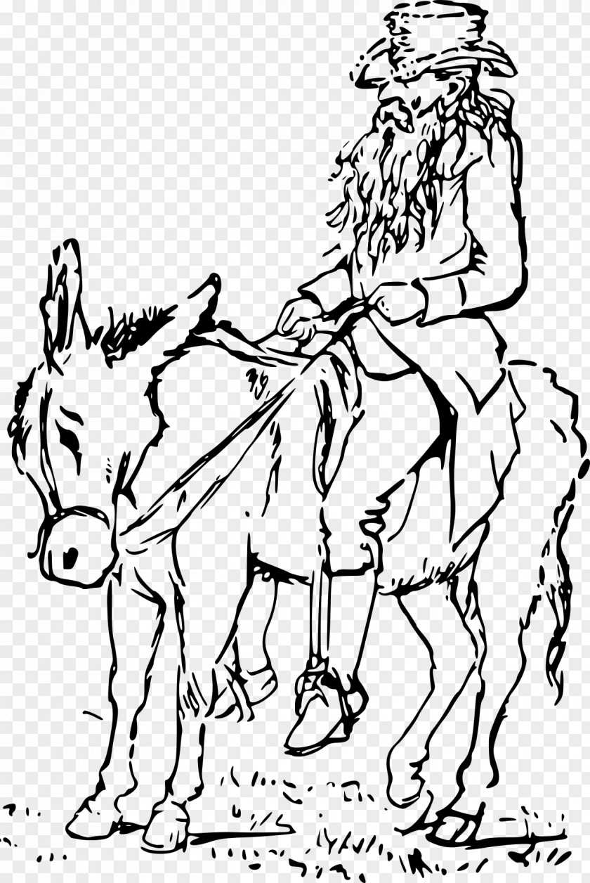 Donkey Horse Drawing Clip Art PNG