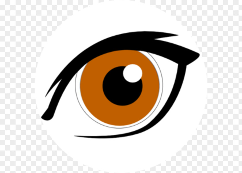 Eye Liner Cliparts Googly Eyes Brown Clip Art PNG