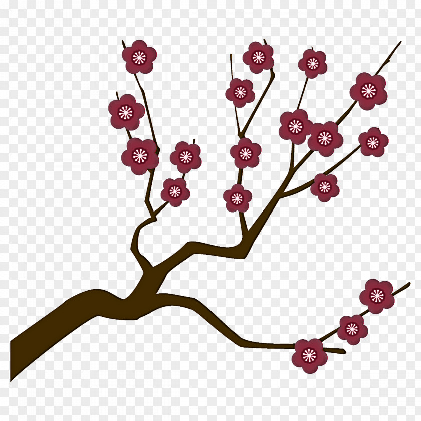 Plum Branch Winter Flower PNG