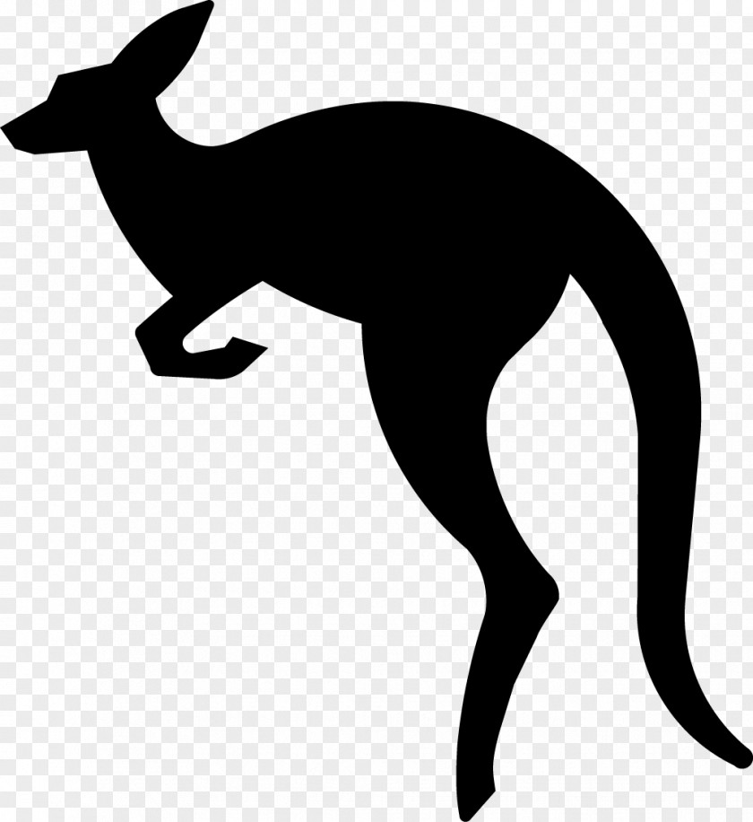 Australia Kangaroo Vector Graphics Clip Art PNG