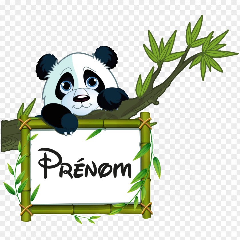 Bear Giant Panda Sticker Image Decal PNG