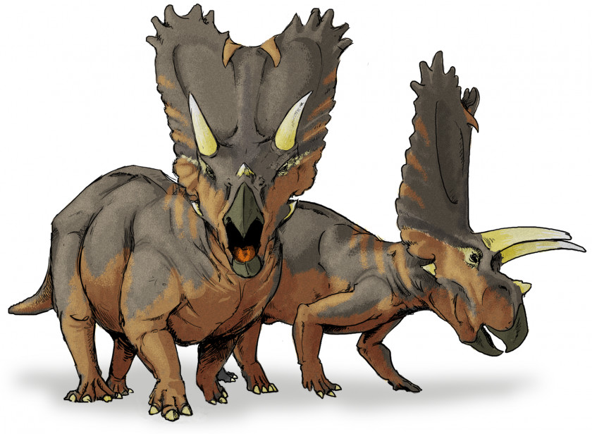 Dinosaur Pentaceratops Ceratopsia Chasmosaurus Titanoceratops Late Cretaceous PNG