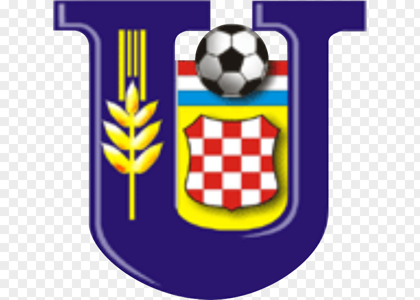 Football Brisbane Knights FC Croatia Strikers PNG