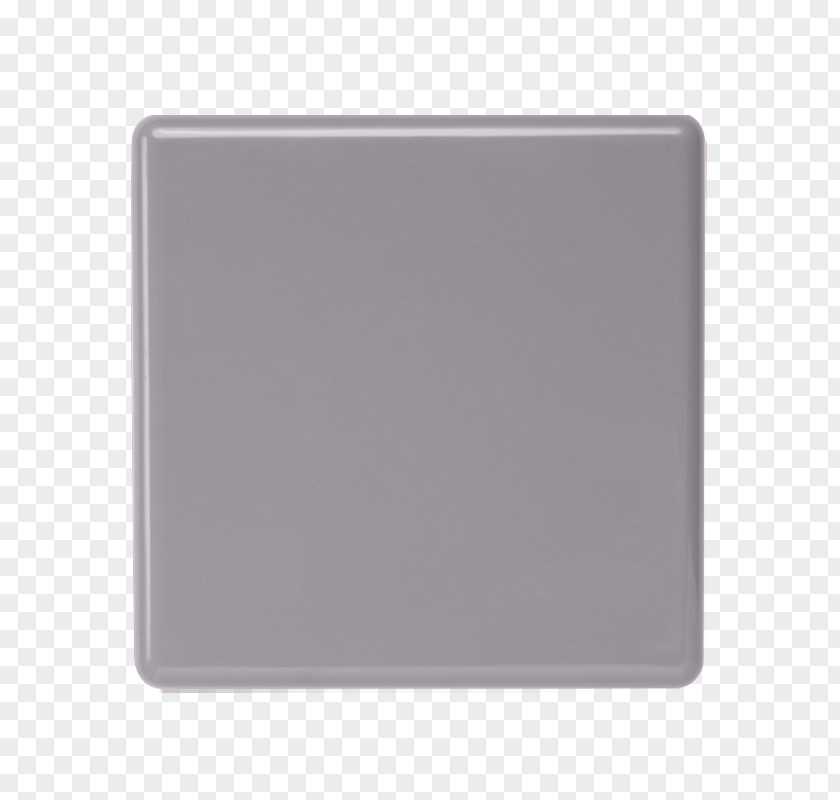 Ivory Gulls Rectangle Grey PNG