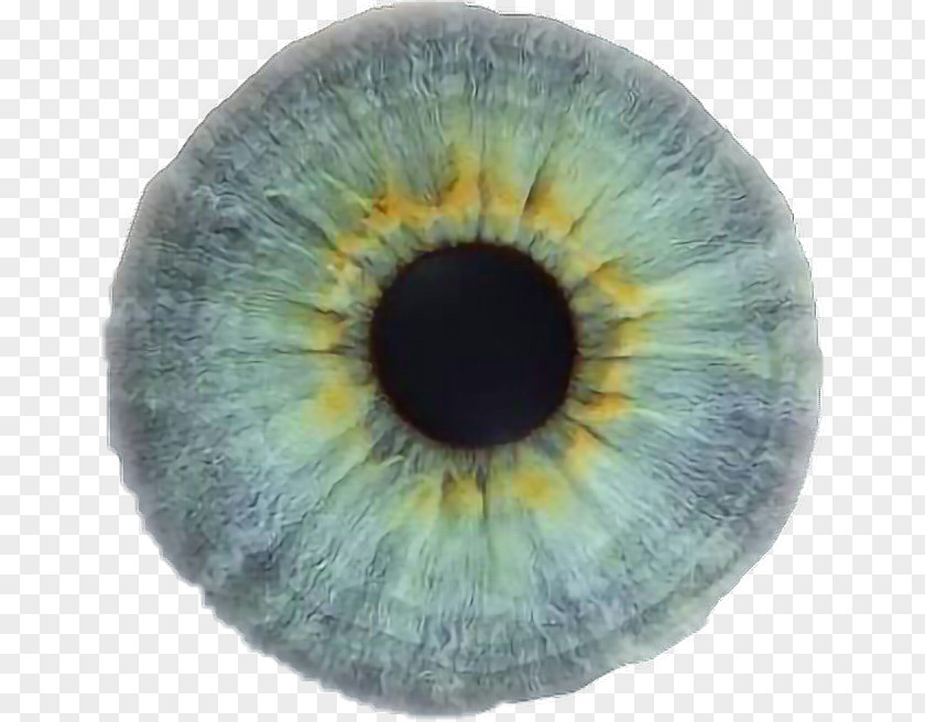 Light Eye Color Iris Human PNG