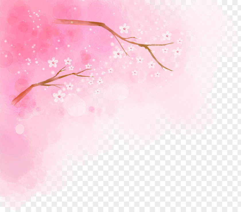 Pink Cherry Blossoms Blossom Illustration PNG