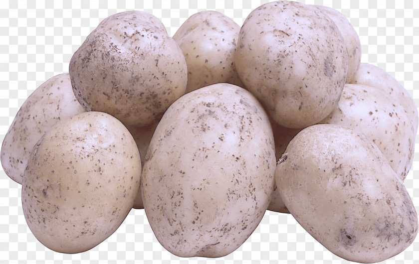 Potato Yukon Gold Root Vegetable Tuber Solanum PNG