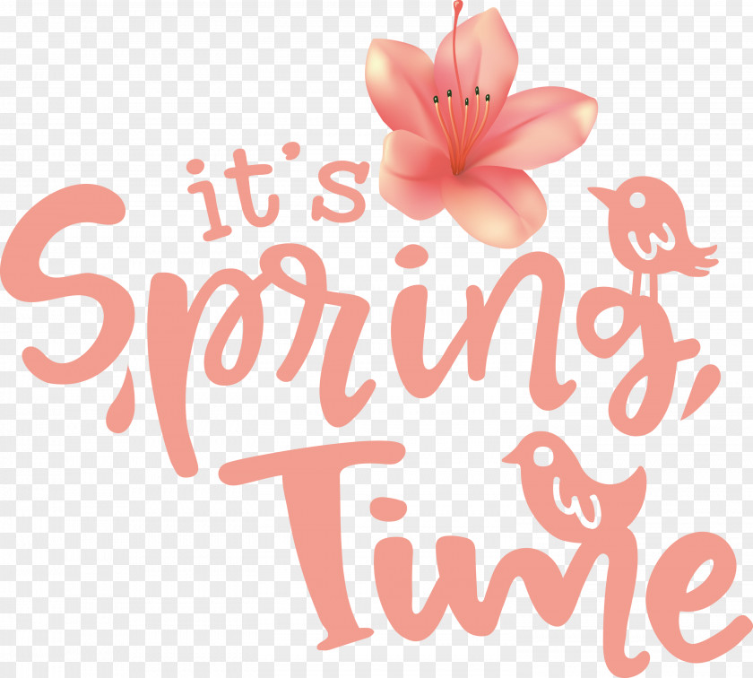 Spring Time PNG