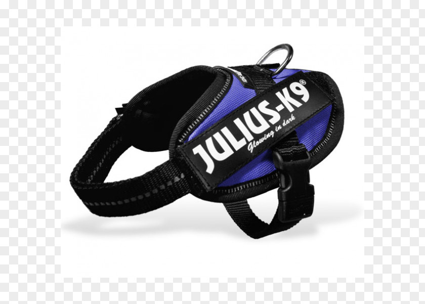 Child Harness Protective Gear In Sports Cobalt Blue Leash PNG