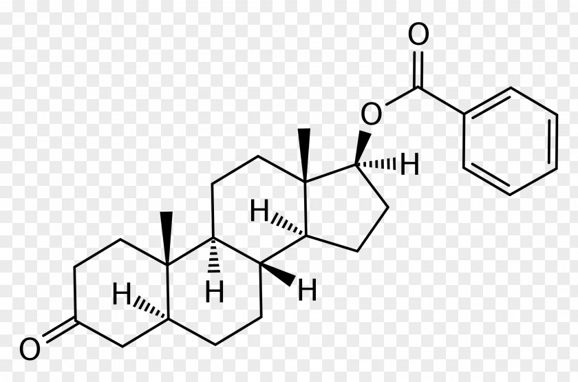 Cholesterol Testosterone Undecanoate Anabolic Steroid Enanthate Androgen PNG