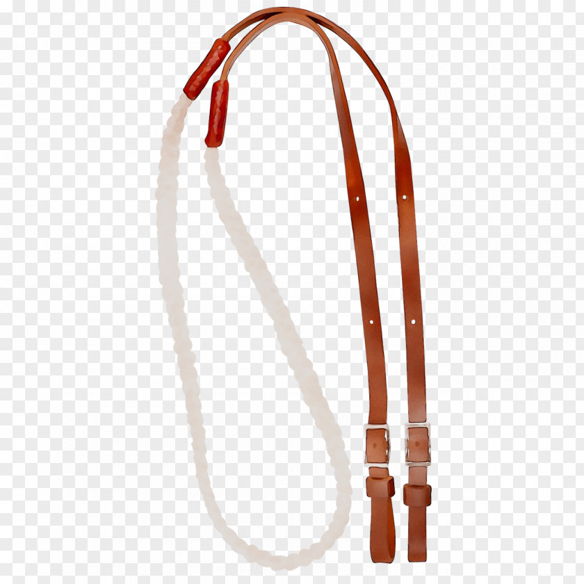 Horse Tack Clothing Accessories Fashion PNG