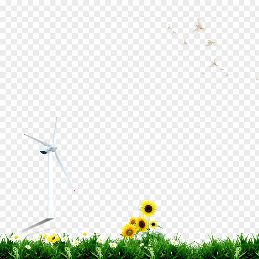 Lawn Windmill Sunflower Pigeon,green Wallpaper PNG