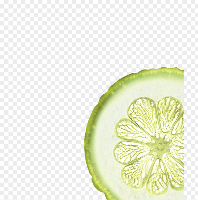 Lime Lemon-lime Drink Key Tableware PNG