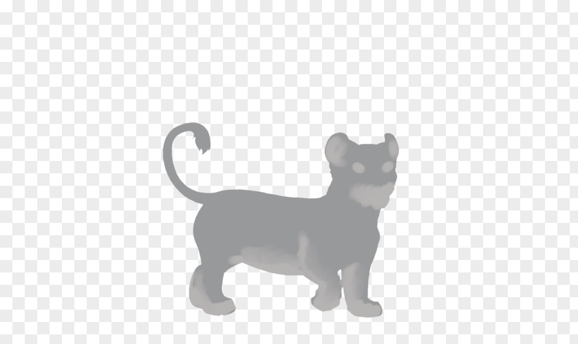 Lion Whiskers Cat Felidae Puppy PNG