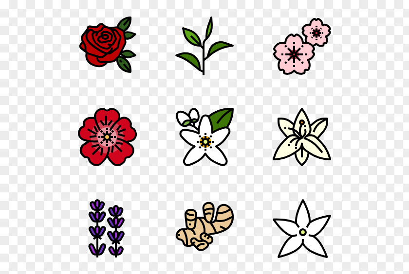 Nature Fonts Floral Design Computer File PNG