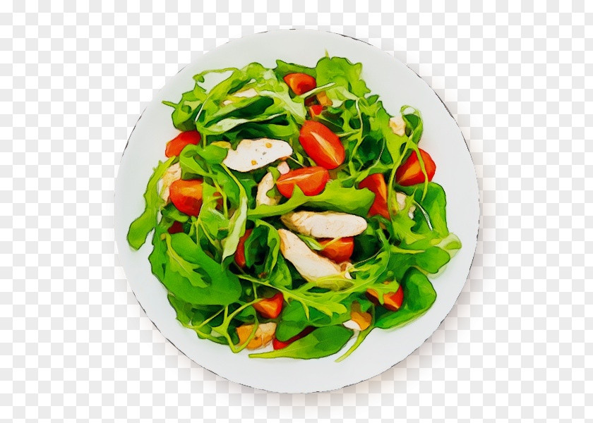 Salad PNG