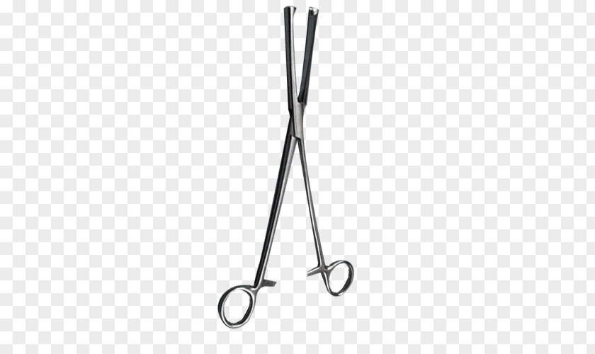 Scissors Tweezers Surgical Instrument Hoyfarma SAS Productos Hospitalarios PNG