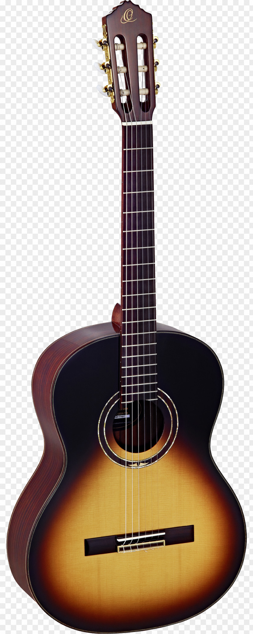 Amancio Ortega Guitar Amplifier Steel-string Acoustic Acoustic-electric PNG