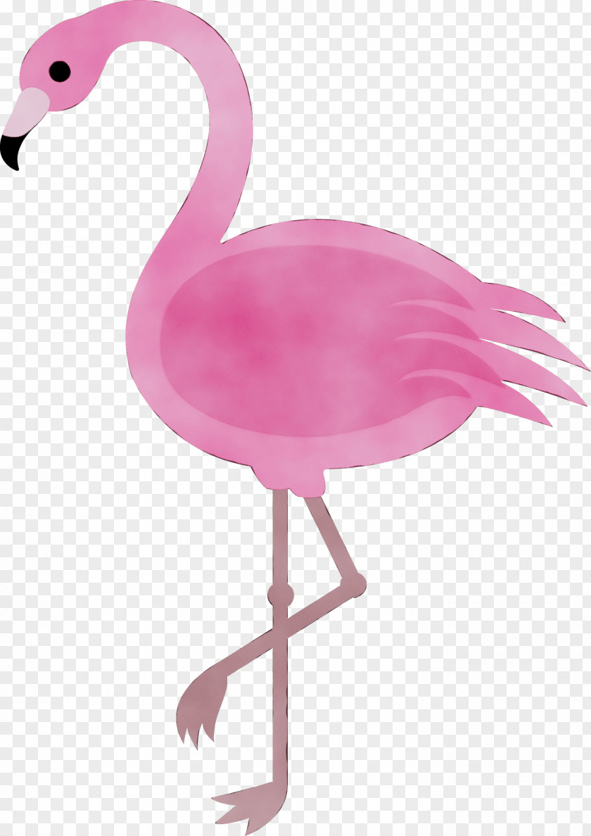 Cartoon Flamingo Clip Art Drawing Image PNG