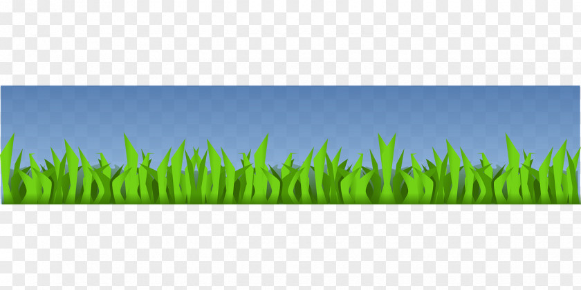 Energy Lawn Meadow Grasses Sky Plc PNG