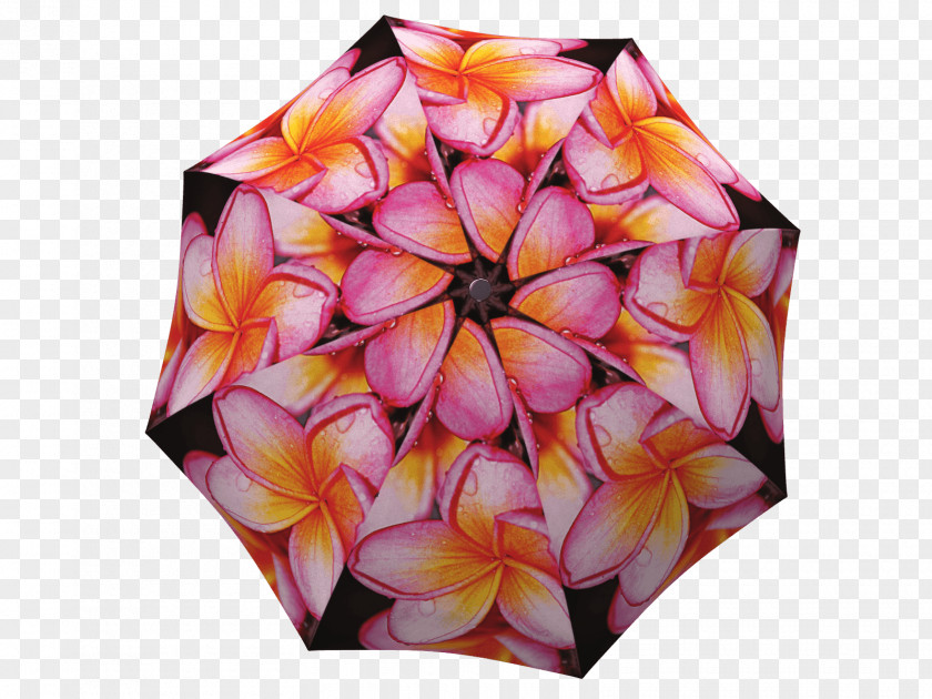 Pink Magnolia Umbrella Gift Clothing Accessories Raincoat PNG