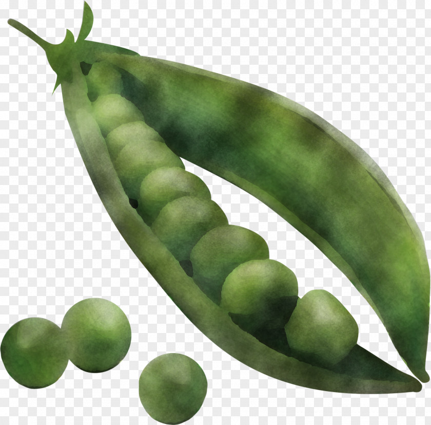 Snap Pea Legume Natural Food Lima Bean PNG
