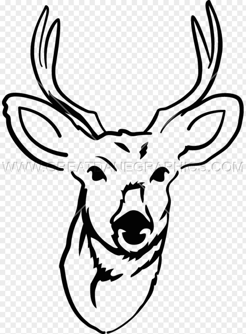 Young Bucks Deer Drawing Line Art Clip PNG